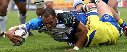 zebre george