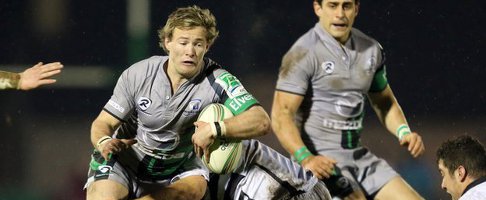 zebre marmion